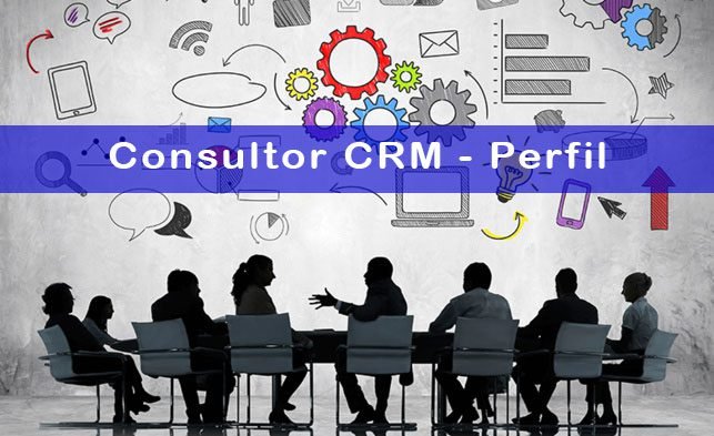 Perfil del consultor